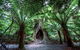 2-Day Melbourne To Adelaide Tour: Great Ocean Road And Grampians One Way Trip - thumb 10