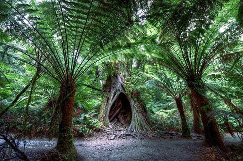 2-Day Melbourne To Adelaide Tour: Great Ocean Road And Grampians One Way Trip - Attractions 10