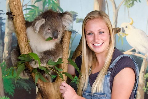 2-Day Great Ocean Road And Phillip Island Tour With Penguin Parade - Attractions 1
