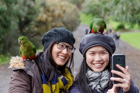 2-Day Great Ocean Road And Phillip Island Tour With Penguin Parade - Attractions 4
