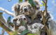 2-Day Great Ocean Road And Phillip Island Tour With Penguin Parade - thumb 5