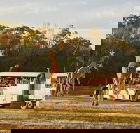 Sunset Safari at Werribee Open Range Zoo - Attractions
