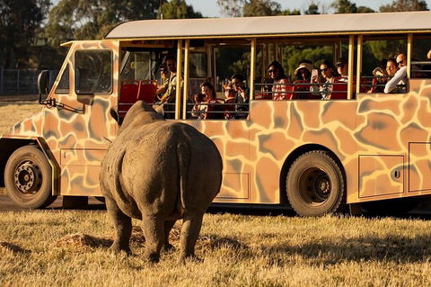 Sunset Safari At Werribee Open Range Zoo - Attractions 3