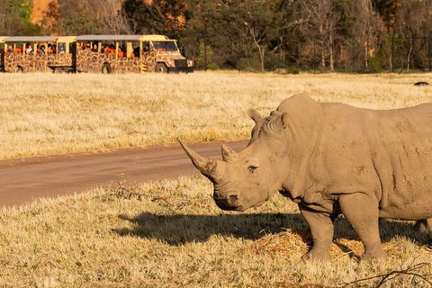 Sunset Safari At Werribee Open Range Zoo - Attractions 6