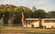 Sunset Safari At Werribee Open Range Zoo - thumb 2