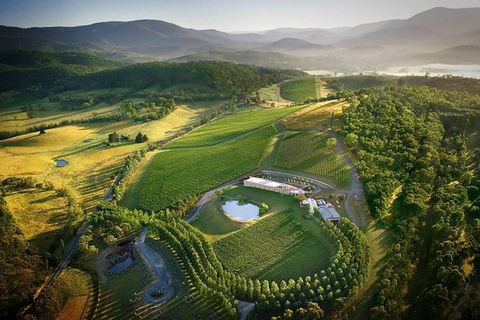 Yarra Valley - Wineries & Gin Distillery Tour - Attractions 0