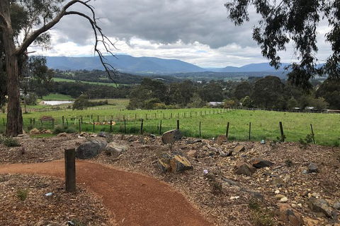 Small Public Yarra Valley Scenic Tour Inc 2 Course Lunch, Wine, Cheese - Attractions 1