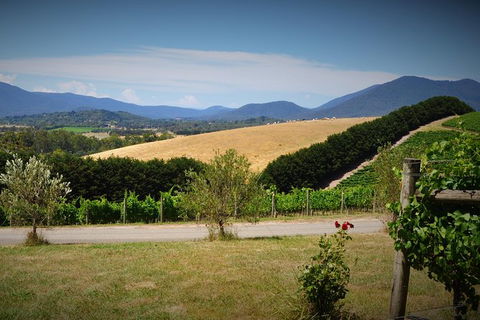 Romantic Private Yarra Valley Day Trip For Two From Melbourne - Attractions 0