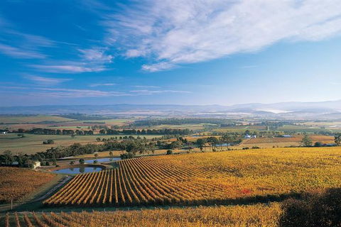 Half Day Yarra Valley Winery Day Trip From Melbourne - See Attractions 0