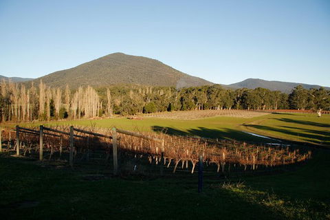Half Day Yarra Valley Winery Day Trip From Melbourne - See Attractions 6