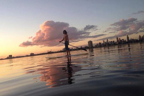 St Kilda Stand-Up Paddle Board Rental - Attractions 3