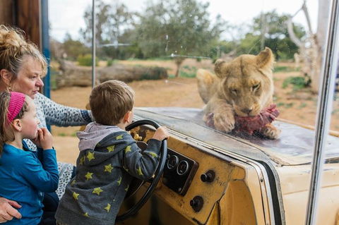 Werribee Open Range Zoo General Admission Ticket - Attractions 3