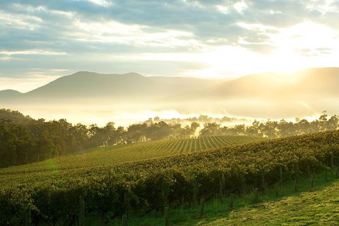 Yarra Valley Private Tour Including Healesville Sanctuary And Wineries - Attractions 0