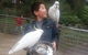 1-Day Custom Private Tour From Melbourne - thumb 1