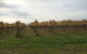 Customized Private Winery Day Tour In Mornington Peninsula At Your Own Choices - thumb 3