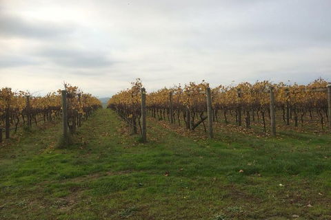 Customized Private Winery Day Tour In Mornington Peninsula At Your Own Choices - Attractions 3