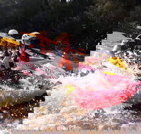 Whitewater Sports rafting on the Yarra river - Attractions