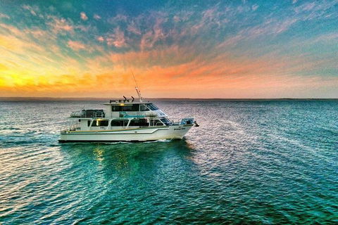 Phillip Island Twilight Cruise - Attractions 3