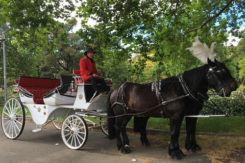Melbourne Horse Drawn Carriage Garden Highlights Tourâ„¢ - Attractions 0