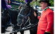 Melbourne Horse Drawn Carriage Garden Highlights Tourâ„¢ - thumb 1