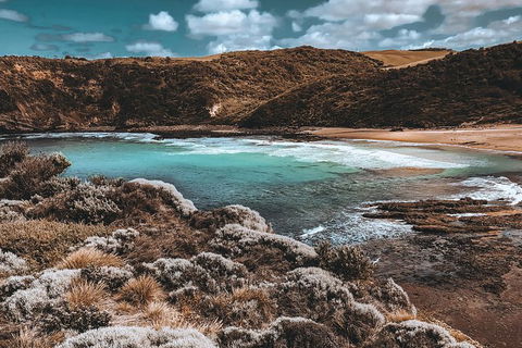 Small Group: Mornington Peninsula Hike And Hot Springs Day Tour From Melbourne - Attractions 4