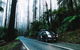 Small Group: Mornington Peninsula Hike And Hot Springs Day Tour From Melbourne - thumb 8