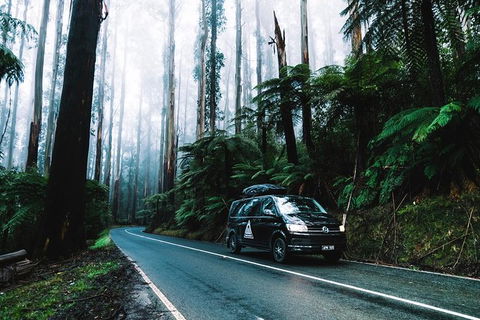 Small Group: Mornington Peninsula Hike And Hot Springs Day Tour From Melbourne - Attractions 8