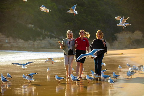 Great Ocean Road Trip Tour From Melbourne - Attractions 36