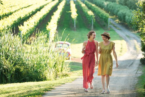 Montalto Vineyard: Mornington Peninsula Discovery Wine Tasting And Lunch - Attractions 5