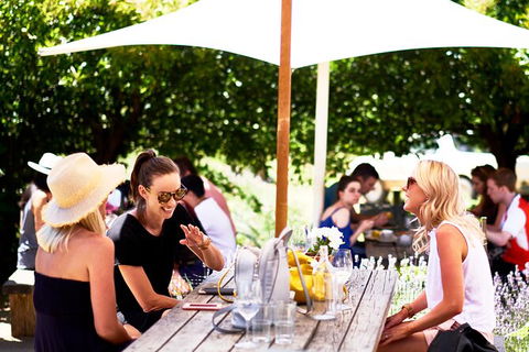 Montalto Vineyard: Mornington Peninsula Discovery Wine Tasting And Lunch - Attractions 3