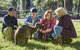Australian Wildlife Experience At Healesville Sanctuary - thumb 0