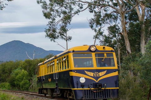 Steam Train, Yarra Valley & Healesville Wildlife Sanctuary Full Day Tour - Attractions 3