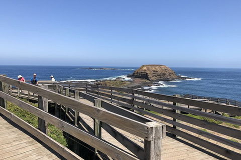Day Tour Of Phillip Island, The Surrounding Region And Wine Tasting - Attractions 14