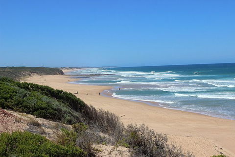 Day Tour Of Phillip Island, The Surrounding Region And Wine Tasting - Attractions 5