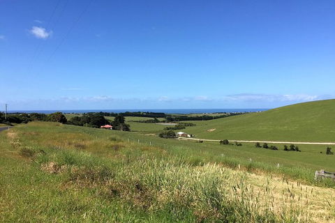Day Tour Of Phillip Island, The Surrounding Region And Wine Tasting - Attractions 6