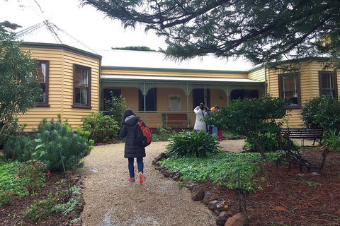 Day Tour Of Phillip Island, The Surrounding Region And Wine Tasting - Attractions 12