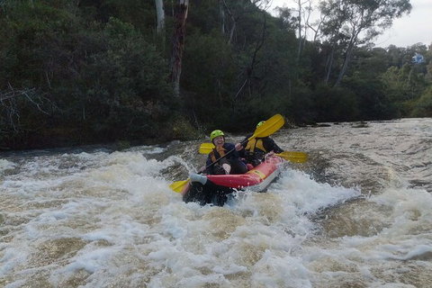 White-Water Kayaking On The Yarra River - See Attractions 5