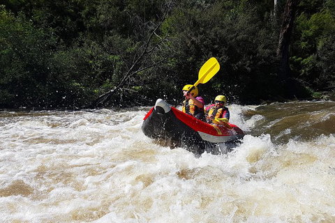 White-Water Kayaking On The Yarra River - See Attractions 6