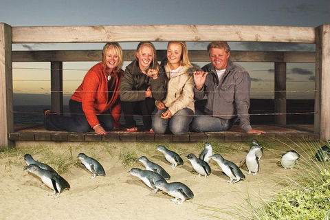 Phillip Island Nature Park Full-Day Tour From Melbourne - Attractions 0