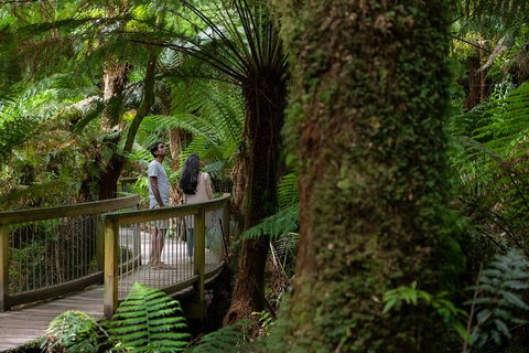 Great Ocean Road Grampians 3 Day National Park Tour Melbourne Roundtrip - Attractions 2