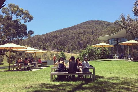 CHEVY CONVERTIBLE Package For 2 People- Wine Lunch Cheese & Chocolate From Melb. - Attractions 6