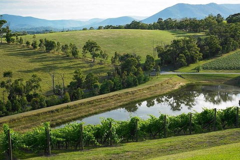 CHEVY CONVERTIBLE Package For 2 People- Wine Lunch Cheese & Chocolate From Melb. - Attractions 9