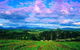 CHEVY CONVERTIBLE Package For 2 People- Wine Lunch Cheese & Chocolate From Melb. - thumb 7