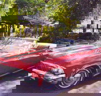 Yarra Valley Wine and Cider Tours by Classic Convertibles from Melbourne - Attractions