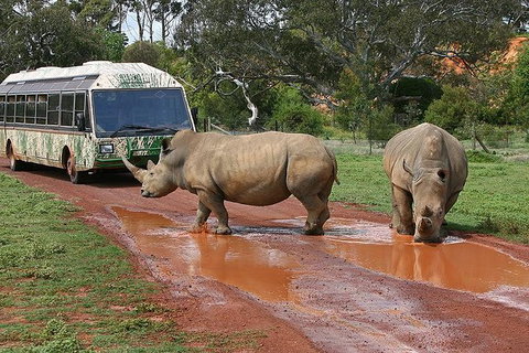 Melbourne Attractions Pass Including Melbourne Zoo, Hop-on Hop-off Bus And SEA LIFE Aquarium - See Attractions 13