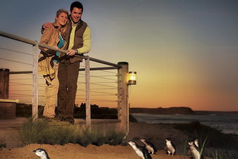 Melbourne Attractions Pass Including Melbourne Zoo, Hop-on Hop-off Bus And SEA LIFE Aquarium - See Attractions 10