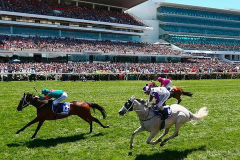 Cultural Melbourne City Tour - See Attractions 2