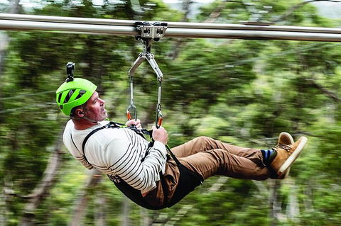 Surf Coast And Livewire Tour - Attractions 0