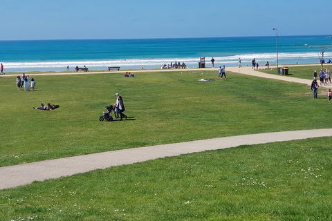 Surf Coast And Livewire Tour - Attractions 7