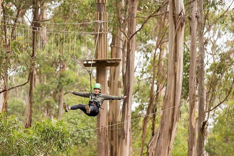 Surf Coast And Livewire Tour - Attractions 10